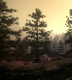 Rust Hosting